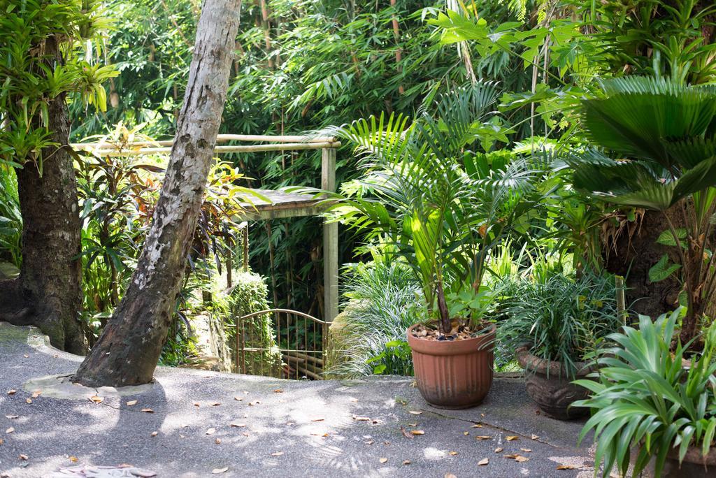 Serenity House Hotell Ubud Exteriör bild
