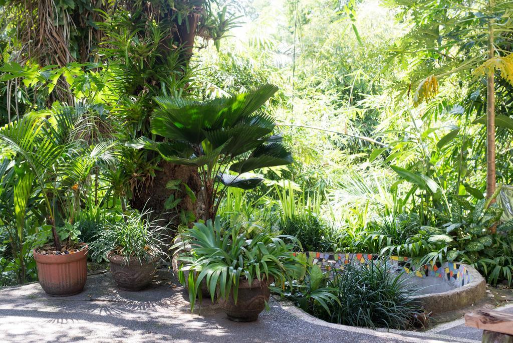 Serenity House Hotell Ubud Exteriör bild